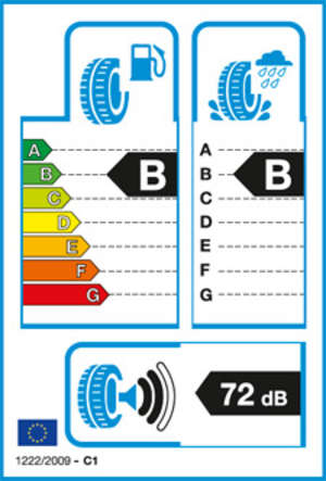 Label gemäß Europäischer Reifen-Kennzeichnungs-Verordnung