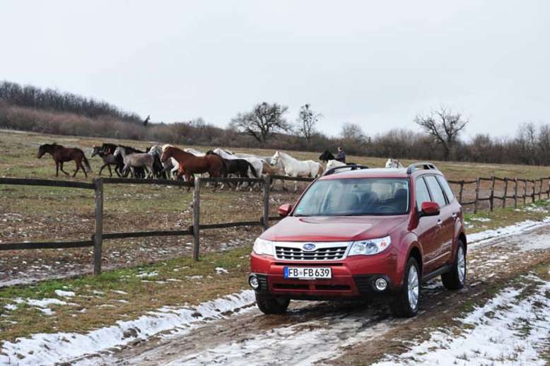 Subaru Forester, dritte Generation, 2008, Foto: Subaru